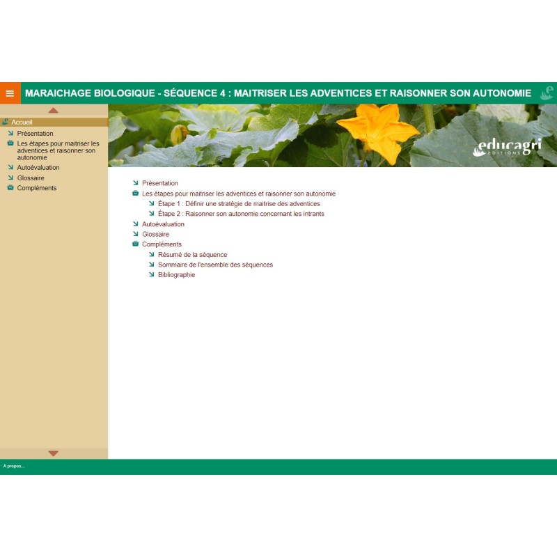 Maraichage biologique : Quelle stratégie technique pour les légumes de base ?