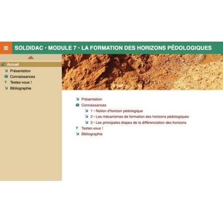 la formation des horizons pédologiques