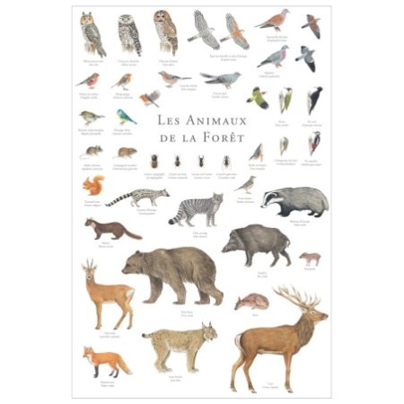 Les animaux de la forêt