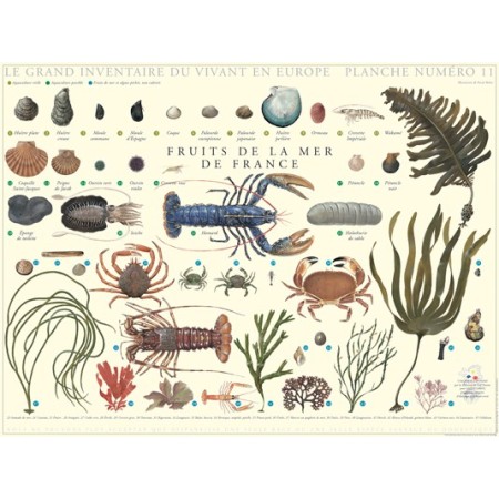 Fruits de la mer de France