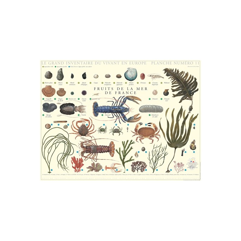 Fruits de la mer de France