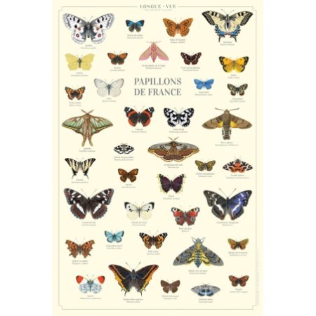 Papillons de France