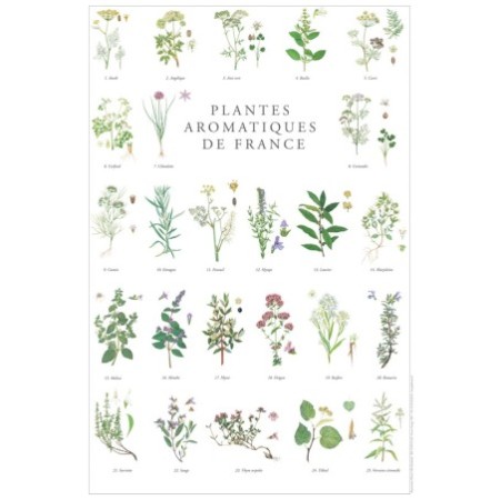 Plantes aromatiques de France