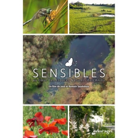 Sensibles
