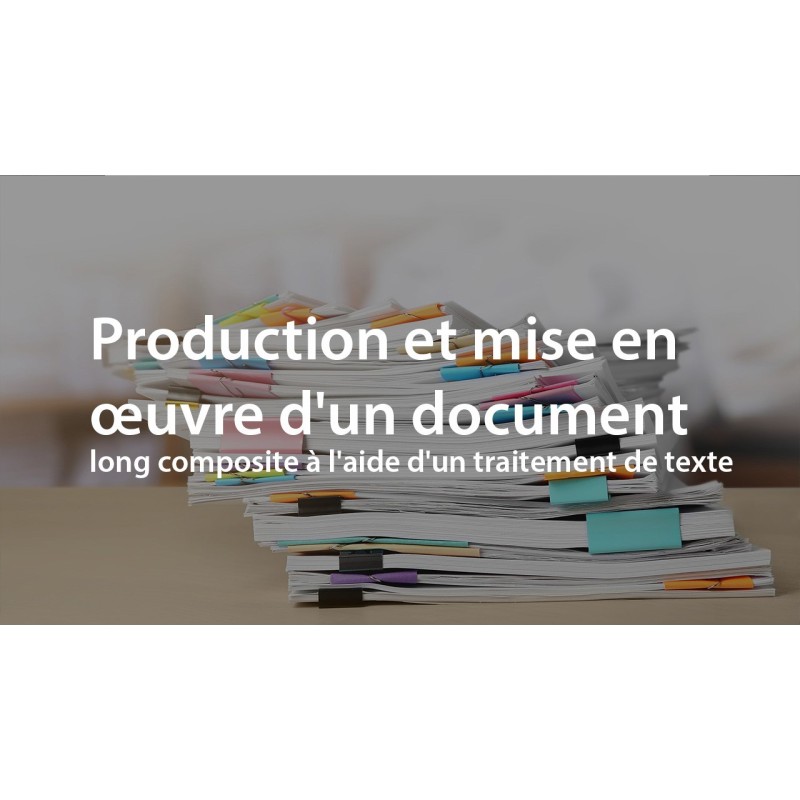 Production et mise en œuvre d'un document long composite à l'aide d'un traitement de texte