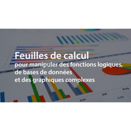 Feuilles de calcul pour manipuler des fonctions logiques, de base de données et des graphiques complexes