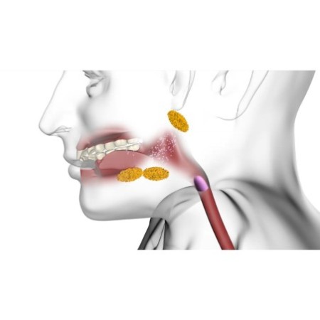 La digestion