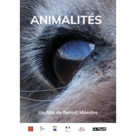 Animalités