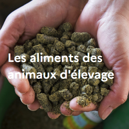 Les aliments des animaux d'élevage