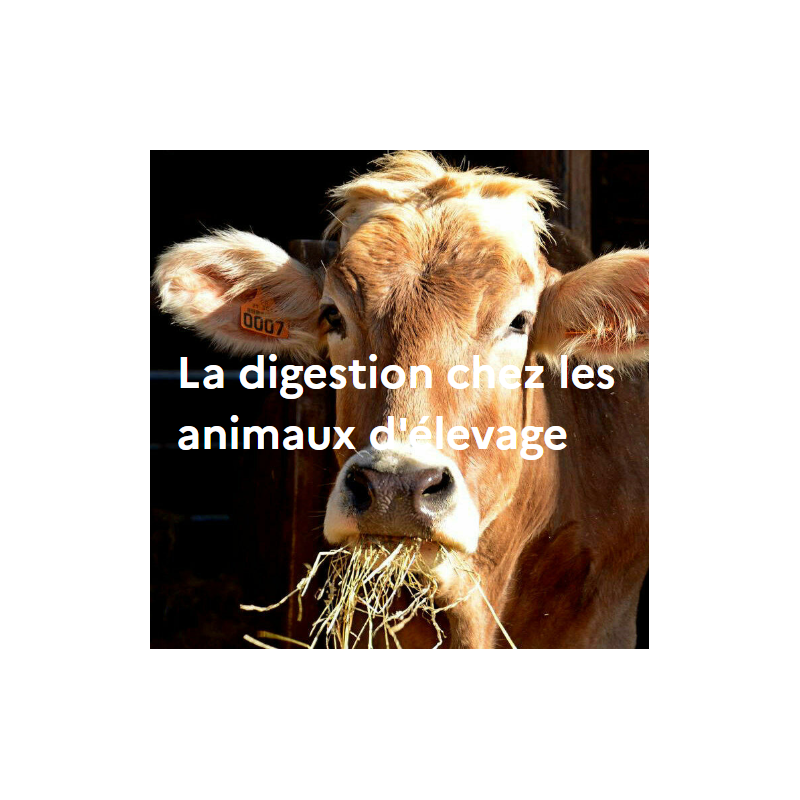 La digestion chez les animaux d'élevage La digestion chez les animaux d'élevage