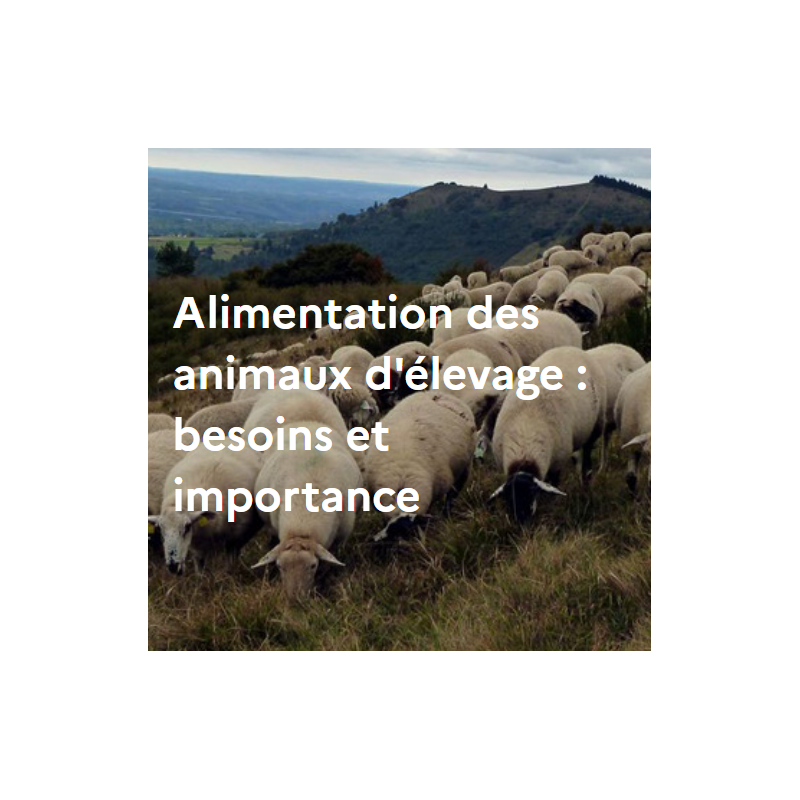 Alimentation des animaux d'élevage : besoins et utilisation Alimentation des animaux d'élevage : besoins et utilisation