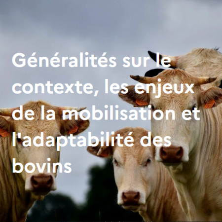 Généralités sur les bovins : contexte, enjeux et spécificités