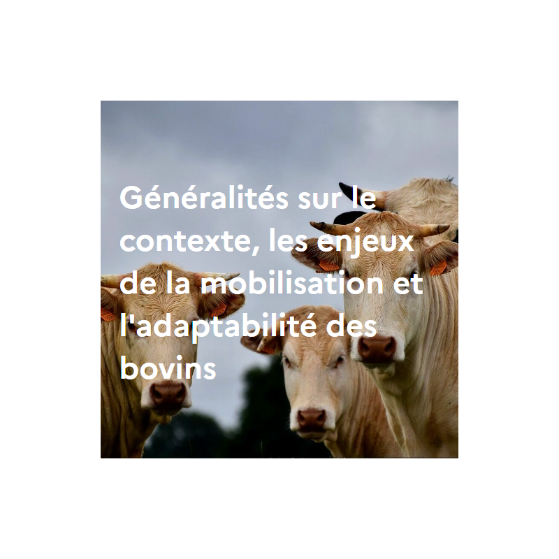 Généralités sur les bovins : contexte, enjeux et spécificités Généralités sur les bovins : contexte, enjeux et spécificités