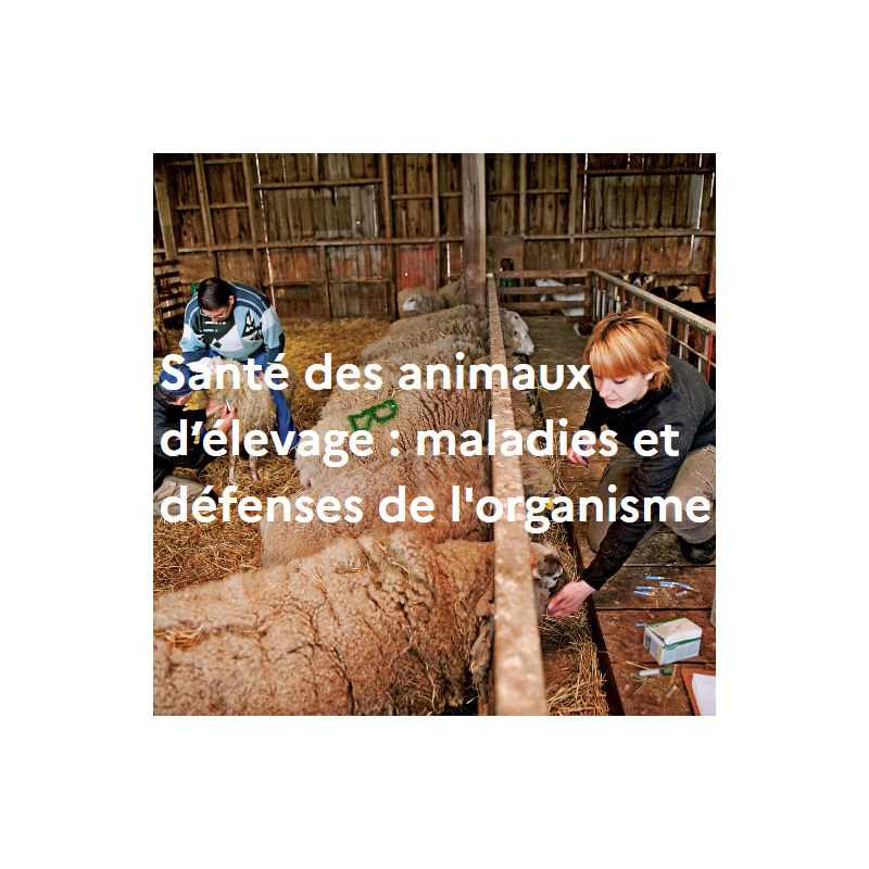 Santé des animaux d’élevage : maladies et défenses de l'organisme Santé des animaux d’élevage : maladies et défenses de l'organisme