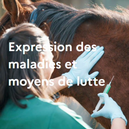 Expression des maladies et moyens de lutte