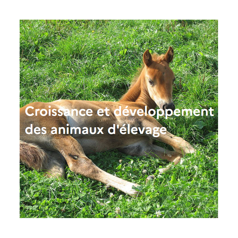 Croissance et développement des animaux d'élevage Croissance et développement des animaux d'élevage