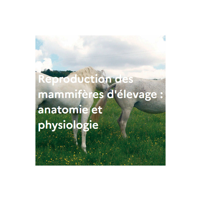 Reproduction des mammifères d'élevage : anatomie et physiologie Reproduction des mammifères d'élevage : anatomie et physiologie